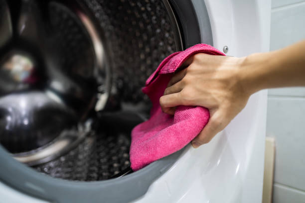 Best Mold Odor Removal Services  in Frostburg, MD