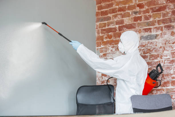 Mold Removal for HVAC Installations in Frostburg, MD