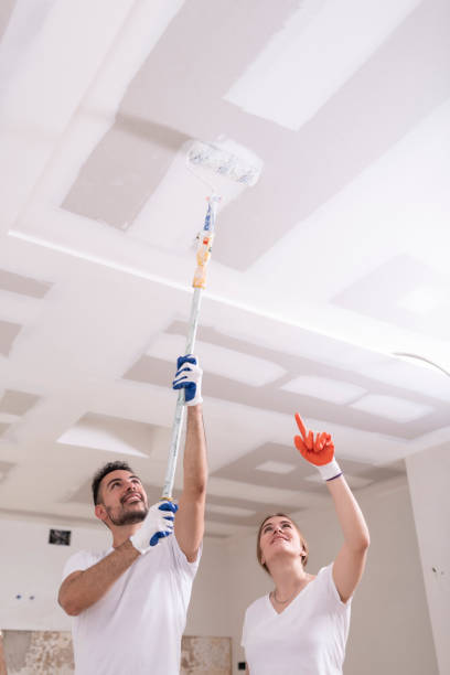 Best Biohazard Mold Removal  in Frostburg, MD