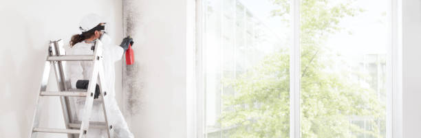 Best Air Quality Testing for Mold Spores  in Frostburg, MD